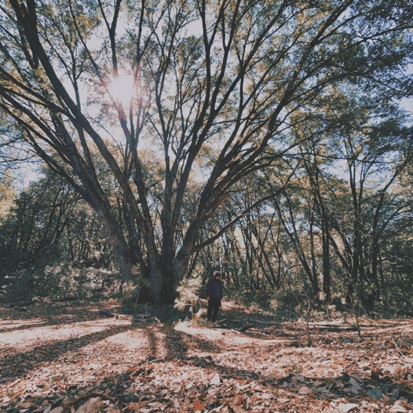 hindsight (feat. brecken)