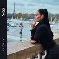 El Único - Single - Seggi & Casa Groovie