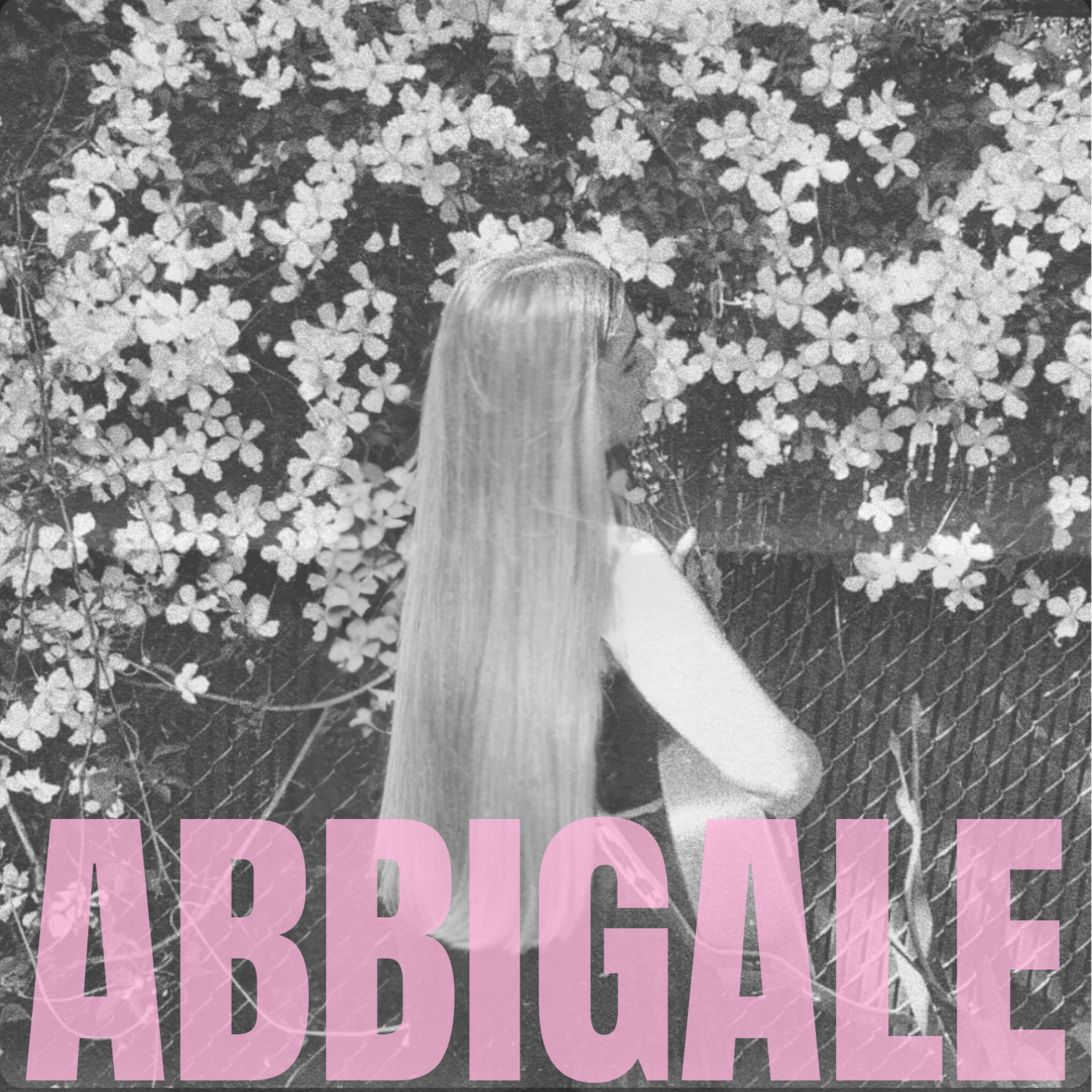 Abbigale