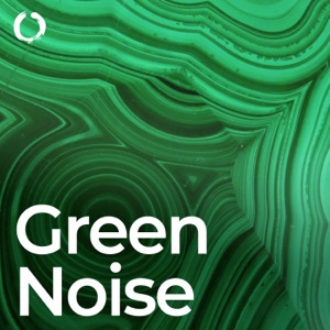 Rustling Leaves Rhythms: Nature's Tranquil Noise