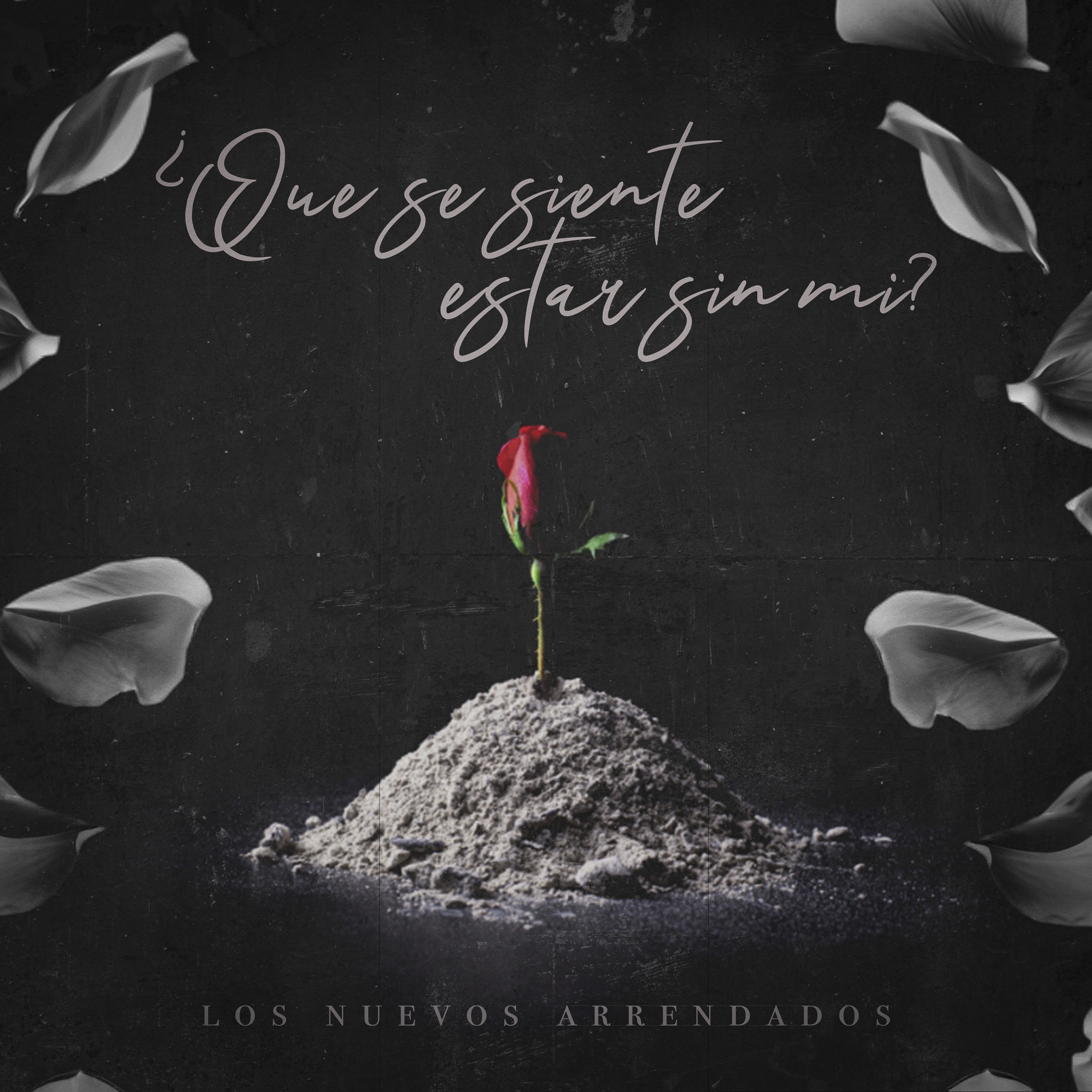 ¿Qué Se Siente Estar Sin Mí? - Single