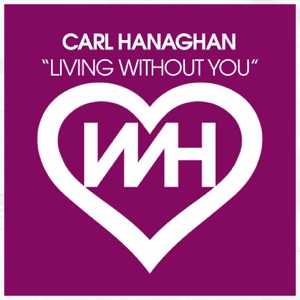 Living Without You - Single