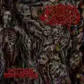 Perpetual Formication