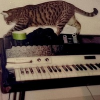 LOCK & KEY - Single - Zolton