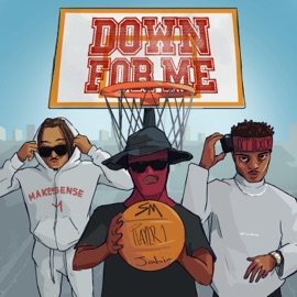 Down For Me (feat. SM & Jahin Novicious) Player1