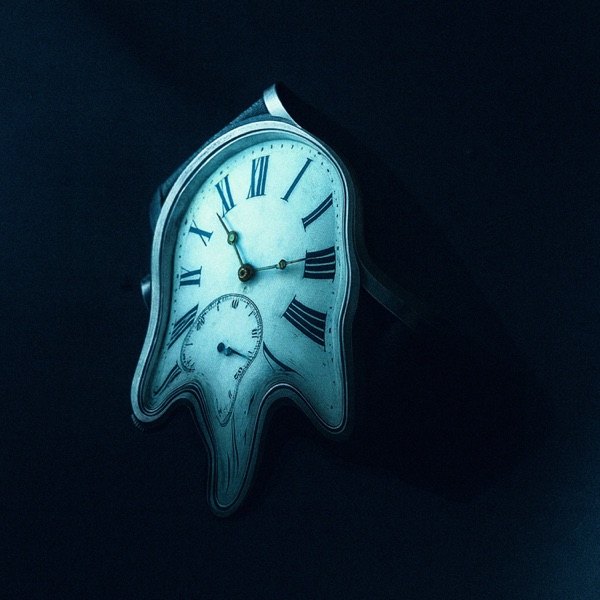 PLM - Single