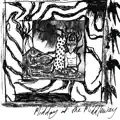 Collided