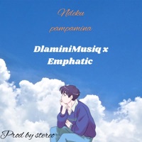 Ndeku pampamina (feat. Emphatic) - Single - DlaminiMusiq