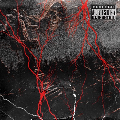 GRAVE DIGGER! (feat. NikoPease) - Single
