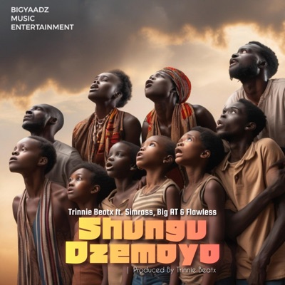 Shungu dzemoyo (feat. Simross, Big a.T & Flawless) - Single