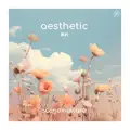 Aesthetic