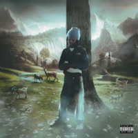 Serendipity 2 - Joshdidit