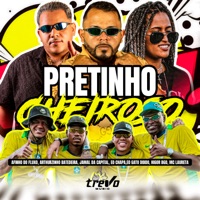 Pretinho Cheiroso (feat. Mc Laureta, EO GATO DOIDO & Higor Bgd) - Single - Arthurzinho Batedeira, Jamal da capital & Éo Chapa