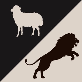 Lamb & Lion Chris Spinelli