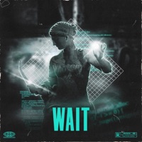 Wait - Single - WILLYY