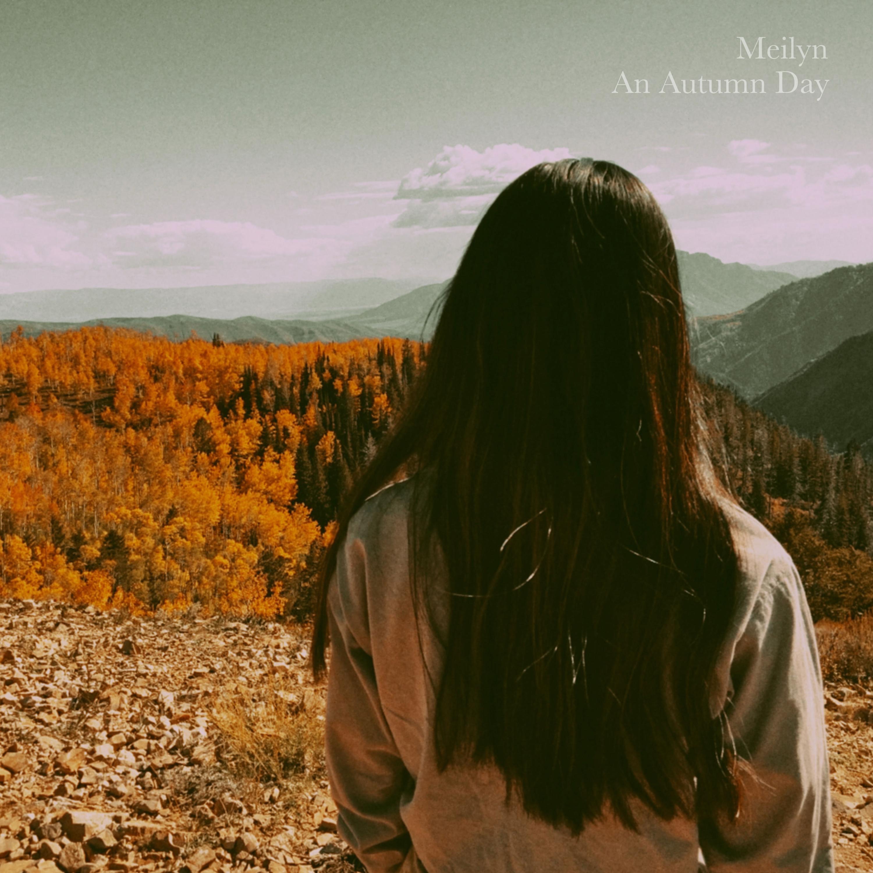 Meilyn Fernández Acuña - Oveja Soy