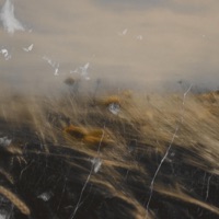 EGOISMUS - Single - drxnko