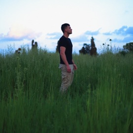 היום האחרון VYTALI