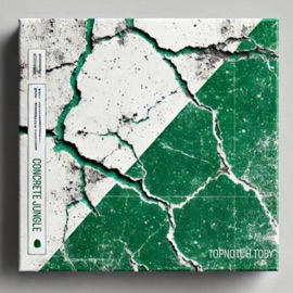 NO PAIN NO PAY (feat. TOPNOTCH TRIQ, PhillyBlack, Red Eye Rasta & Molta) Topnotch Toby