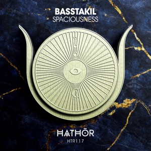 Spaciousness - Single