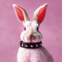 PLAYBOi - Single - Vana & Sophie Powers