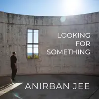 Looking for Something — Anirban Jee