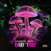 Bad Trip - Single - Mr Traumatik & Temple
