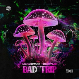 Bad Trip Mr Traumatik & Temple