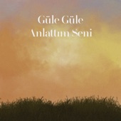 Güle Güle Anlattım Seni artwork