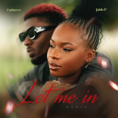 Let Me In (Remix) - Single