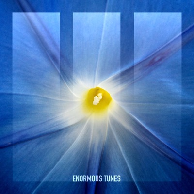 Nobody but You - Single