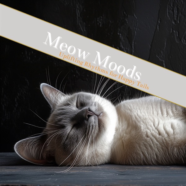 Meow Moods: Curating Calm Environments Through Soothing Tunes