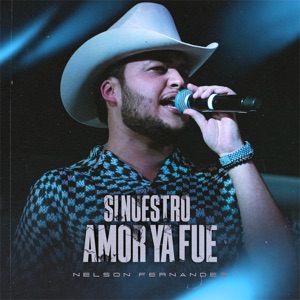 Si Nuestro Amor Ya Fue