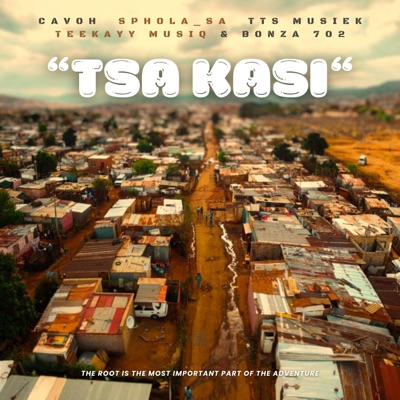 Tsa Kasi (Sphola_Sa,Teekayy MusiQ,TTS MUSIEK and Bonza 702 Remix) - Single