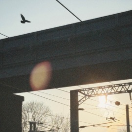 moonlight ambifi. & Cove