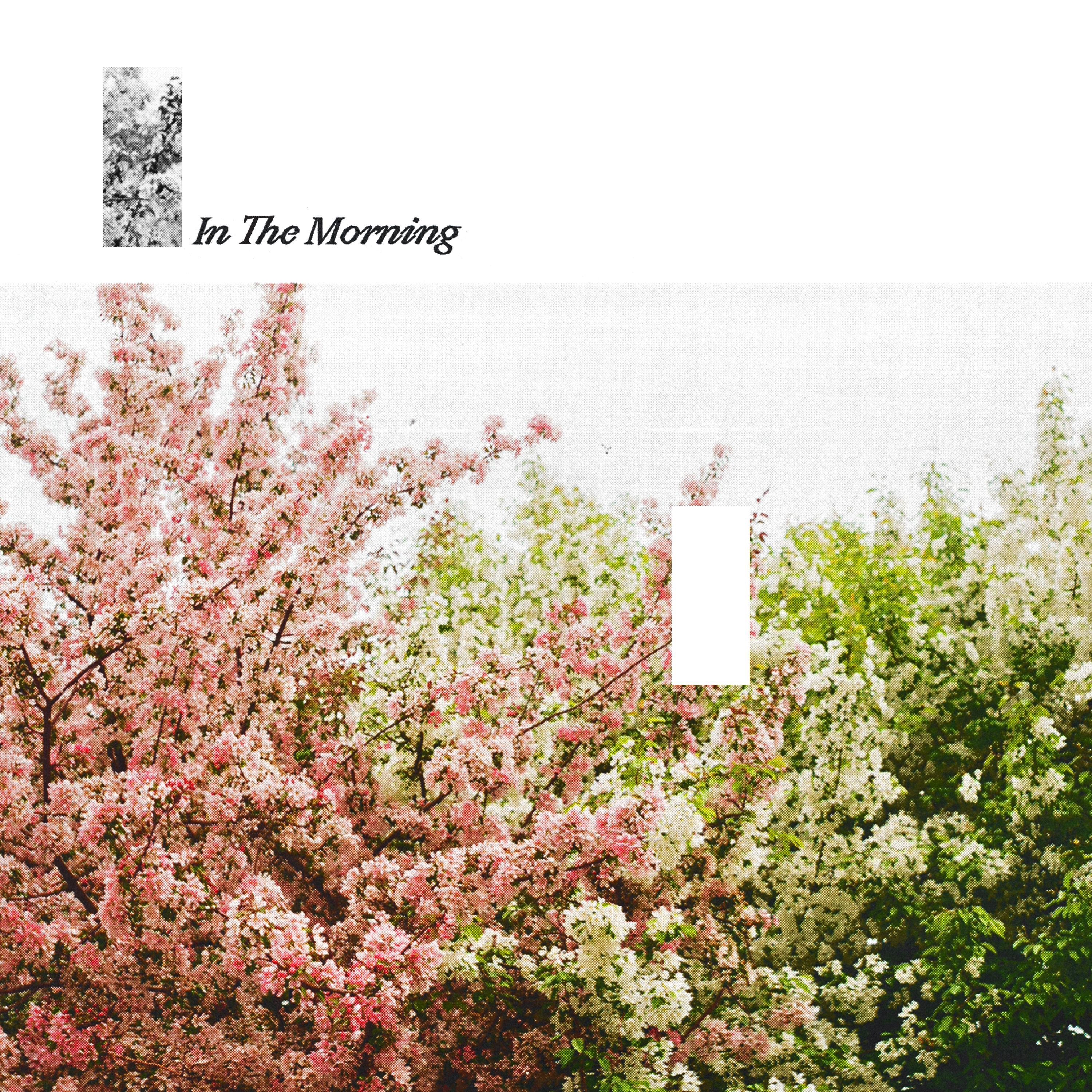 In The Morning - Single