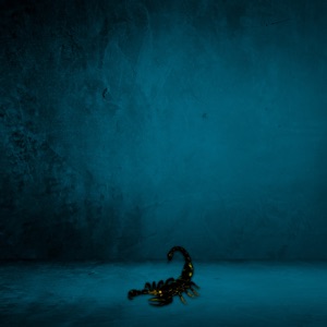 Scorpio (Instrumental) - EP