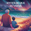 Joaqu&iacute;n Hern&aacute;ndez - Antes de que te vayas portada