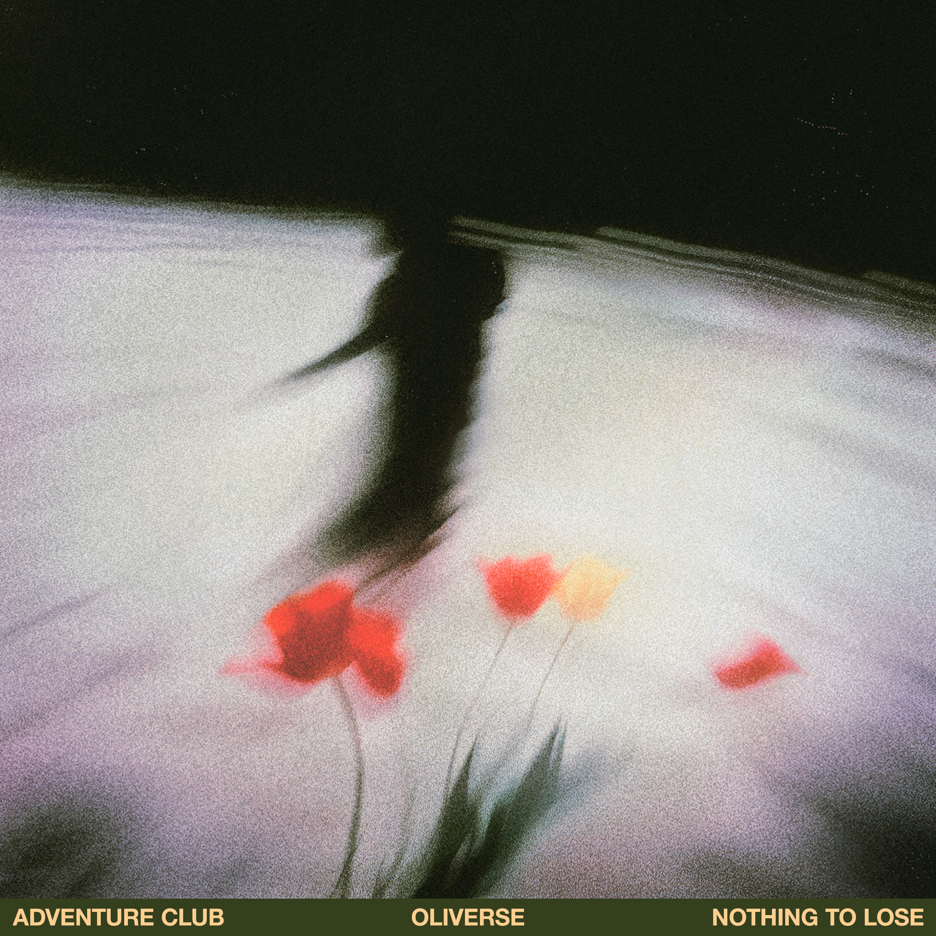 Nothing to Lose - Single