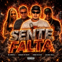 Sente Falta - Single - Danado do Recife & mc donzela