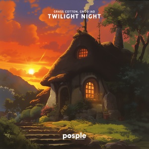 Twilight Night - Single