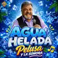 Agua helada