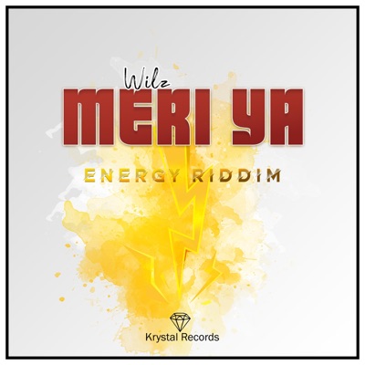 Meri Ya (feat. Wilz) - Single