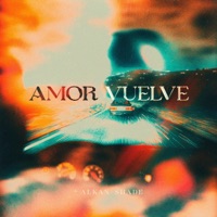 Amor Vuelve - Single - Alkan Shade
