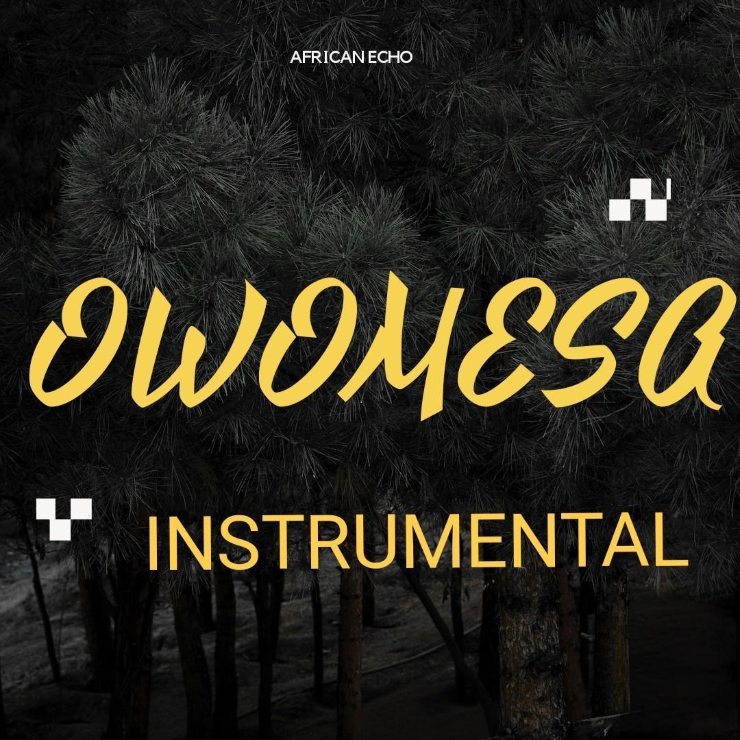 Owomesa - Single