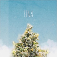 Fina (feat. Canelo James) - Single - Mr Ingenio, Waynee & Majazztick