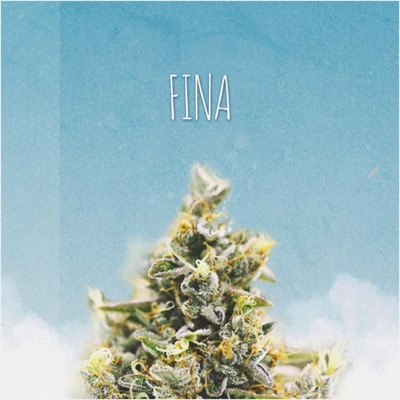 Fina (feat. Canelo James) - Single