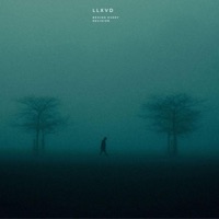 behind every decision - Single - LLXVD