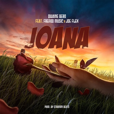Joana (feat. Fredoo Music & JOE FLEX) - Single