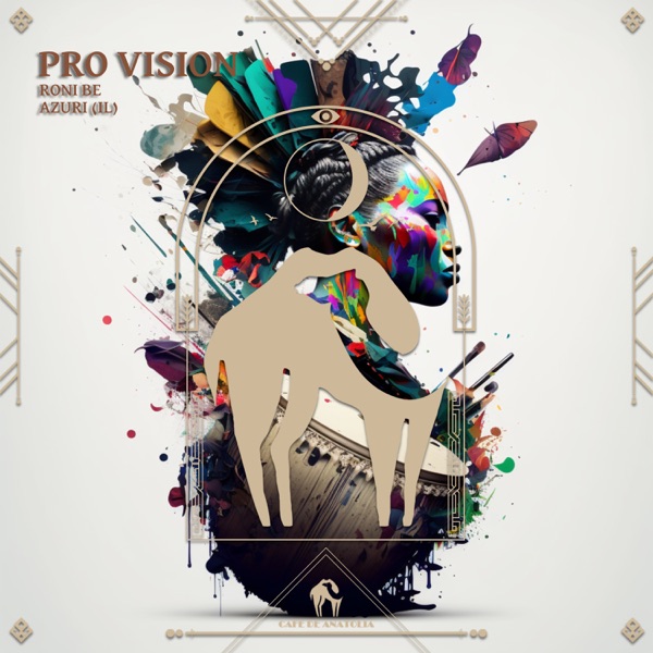 Pro Vision - Single